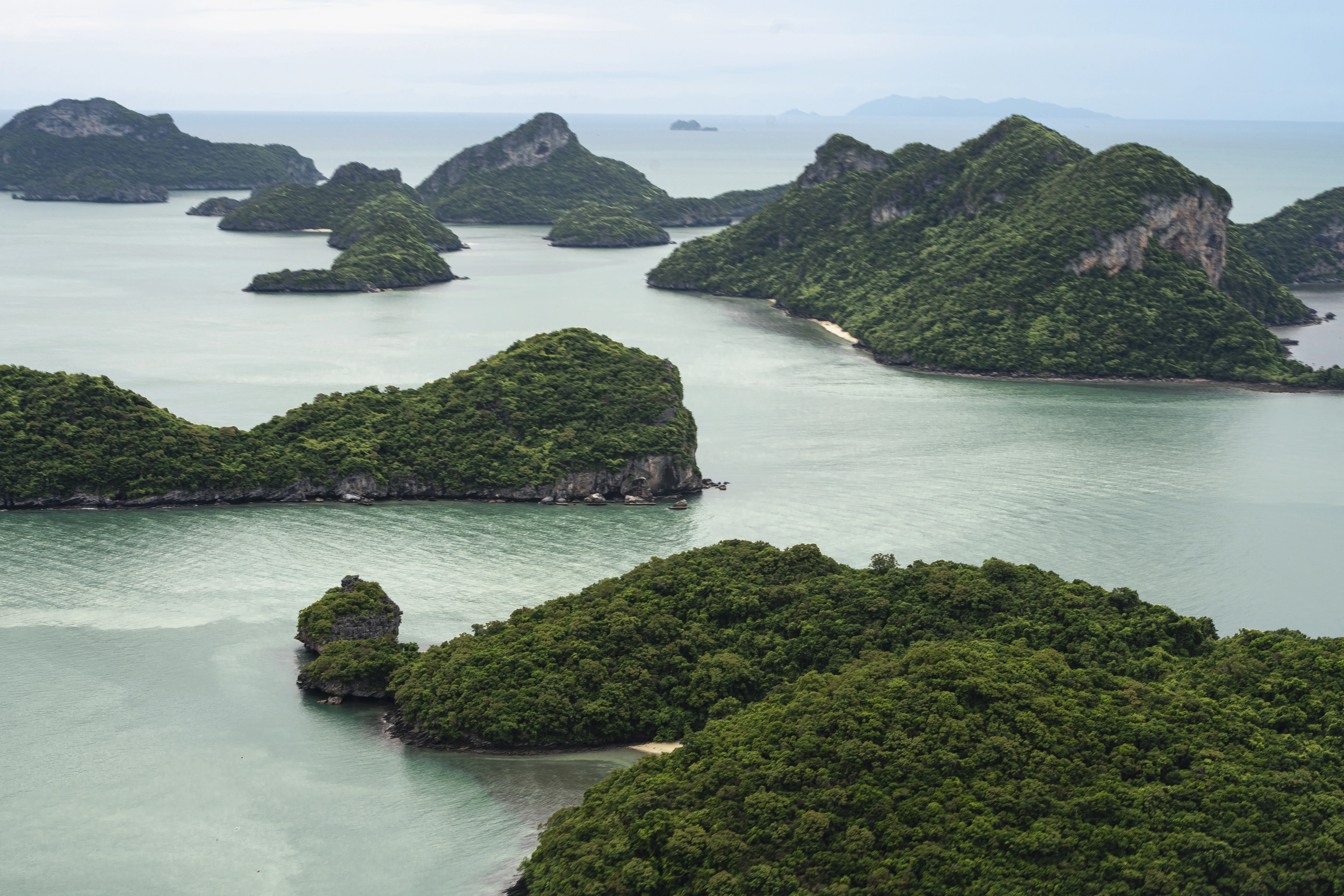 Photographe Île-de-France — Reportage, portrait et shooting sur mesure