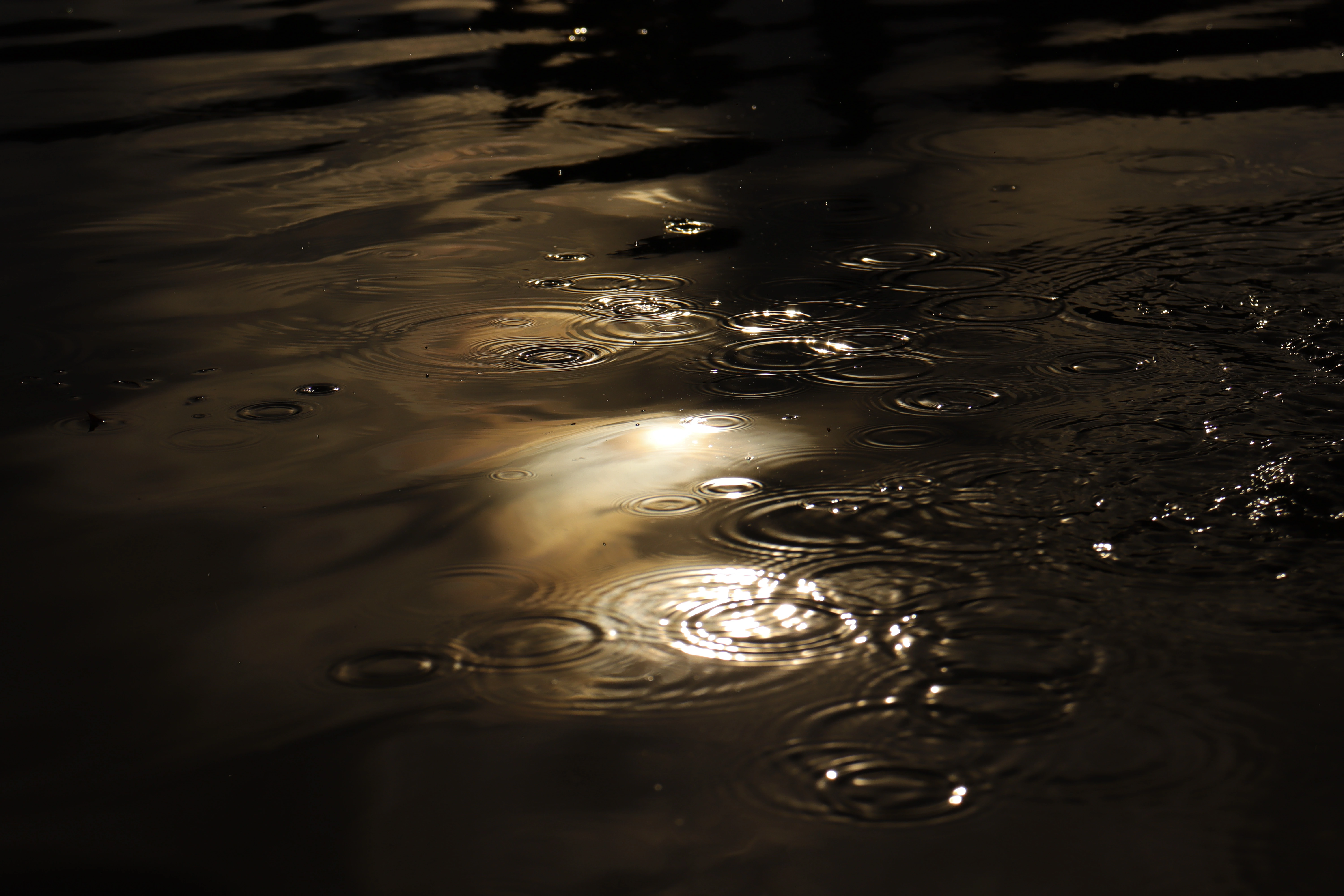 Photographe reflets de pluie et lumière dorée — Picstroflex